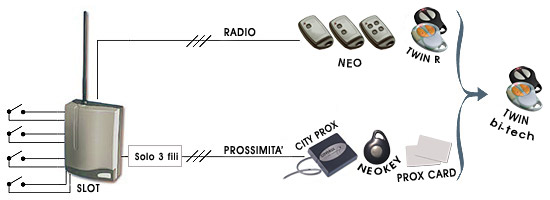 Twin Remote Terminal Various